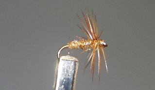 Díptero D7