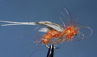 Pupae Tricoptero Naranja N71