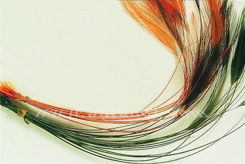 Quills de Pluma en bolsa