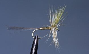 Mosca Seca S104