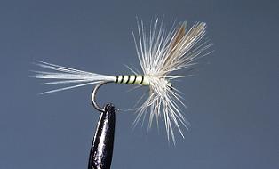 Mosca Seca S105