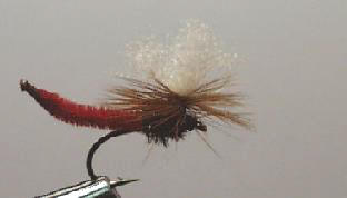 Attractor X-Parachute Red S136