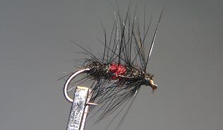 Mosca Seca S18