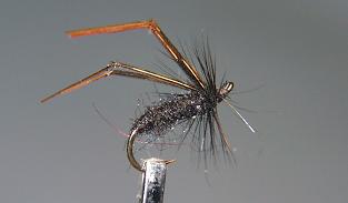 Mosca Seca S19
