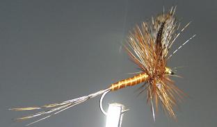 Mosca Seca S21