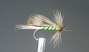 Mosca Seca S23