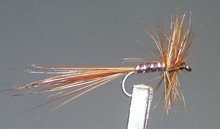 Mosca Seca S30