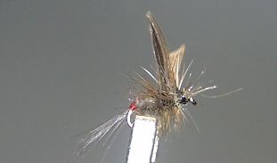 Mosca Seca S31