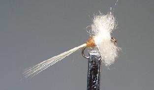 Mosca Seca S32