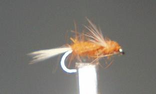 Mosca Seca S35