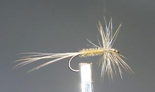 Mosca Seca S40