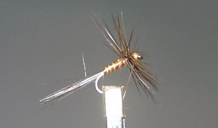 Mosca Seca Ignita S44