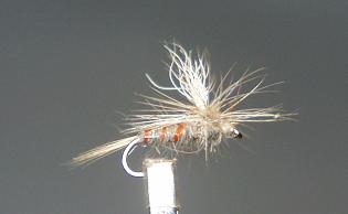 Mosca Seca S53