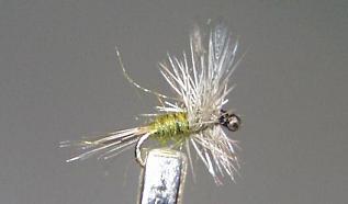 Mosca Seca S72