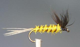 Spent Mayfly S86