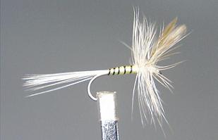 Mosca Seca S9