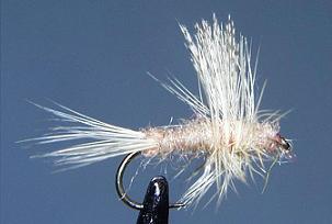 Mosca Seca S92