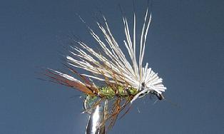 Tricóptero T77