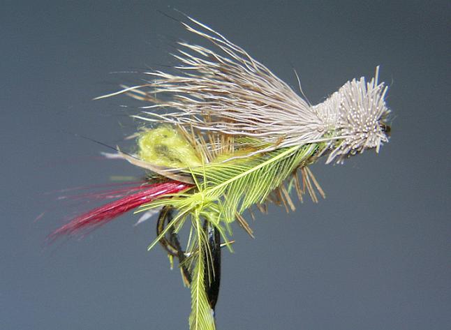 Special Hopper TE4