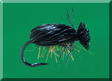 Escarabajo Crowe TE45