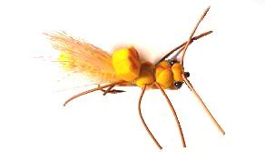 Saltamontes Ñirehuao TE55