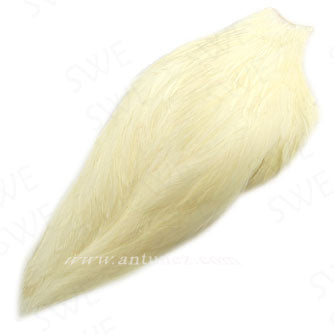 Cuellos Whiting American