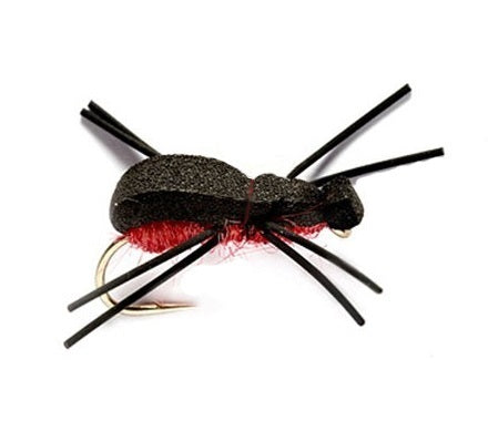 Bank Beetle Foam