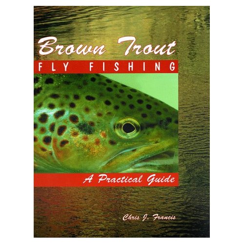 Brown Trout Fly Fishing: A Practical Guide