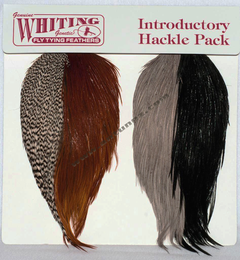 Whiting Intro Hackle Pack Cuellos