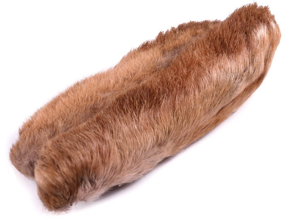 Par de patas de Liebre Patagonica