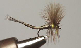 Extendida Pato Oliva S147