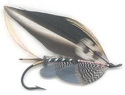 Wigeon Tel SL34