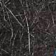 SLF (Synthetic Living Fibre)