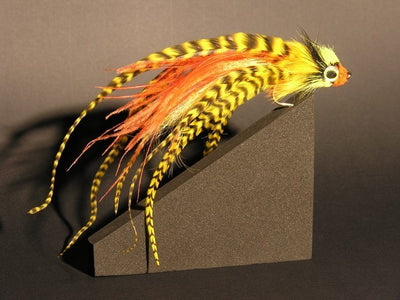 Streamer Lucio B102