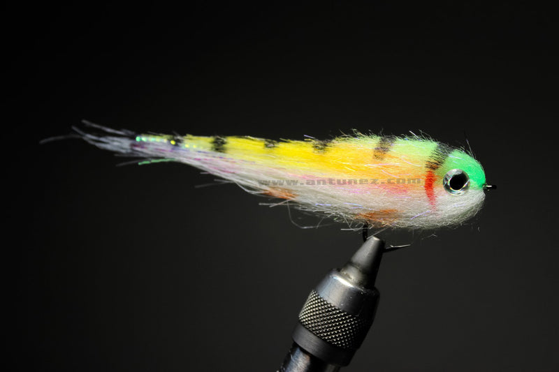 Streamer Bass/Lucio B115