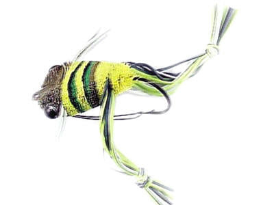 B34