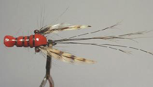 Cangrejo Rojo B81