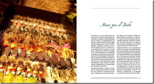 Barbos en la pesca a mosca