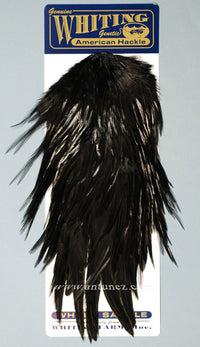 Saddle Whiting American Rooster