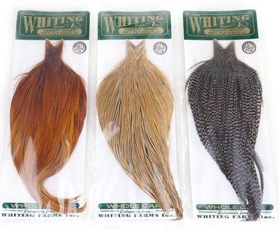 Cuellos Whiting Hebert Bronce