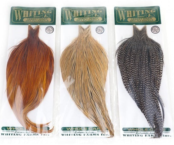 Cuellos Whiting Hebert Bronce