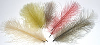 Marc Petitjean CDC 1g.