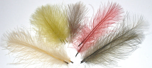 Marc Petitjean CDC 1g.