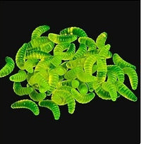 Cuerpos Gummy Jelly Bugs