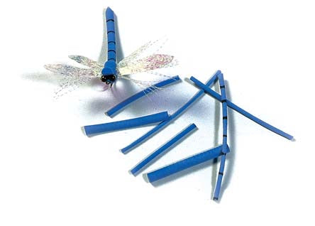 Cuerpos de Libélulas Foam