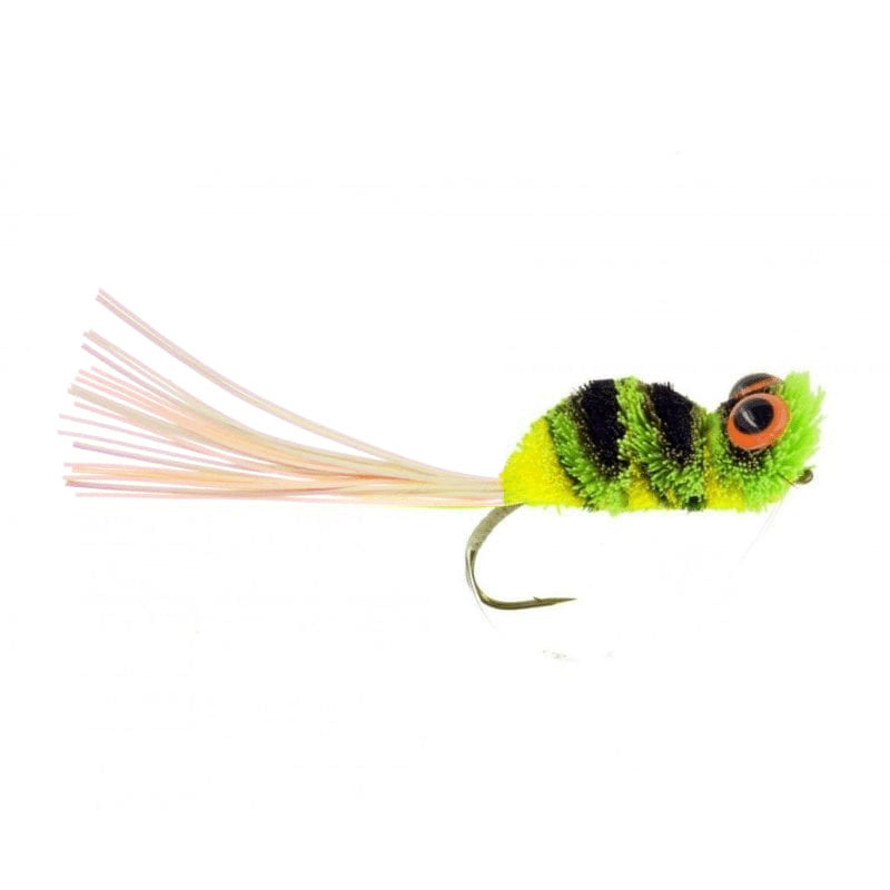 Dancing Frog Bass B15