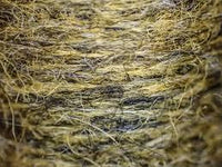 Dirty Bug Yarn