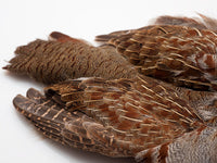 Piel completa Perdiz Pardilla / Perdix Perdix