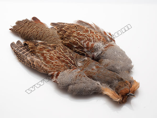 Piel completa Perdiz Pardilla / Perdix Perdix