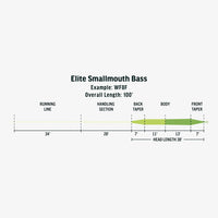 Línea RIO Bass